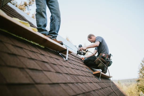 Best Roof Gutter Cleaning  in Riner, VA